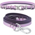Frisco Outdoor Two Toned Waterproof Stink Proof PVC Collar, Boysenberry Purple, Large, Neck: 18 ½ 26-in, Width: 1-in + Dog Leash, Boysenberry Purple, Large - Length: 6-ft, Width: 1-in