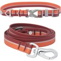 Frisco Outdoor Two Toned Waterproof Stink Proof PVC Collar, Flamepoint Orange, Medium - Neck: 14½20-in, Width: 3/4-in + Dog Leash, Sunset Orange, Medium - Length: 6-ft, Width: 3/4-in   