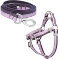Frisco Outdoor Two Toned Waterproof Stink Proof PVC Leash, Boysenberry Purple, Large - Length: 6-ft, Width: 1-in + Dog Harness, Shadow Purple, Large, Neck: 19 to 27-in, Girth: 23 to 36-in