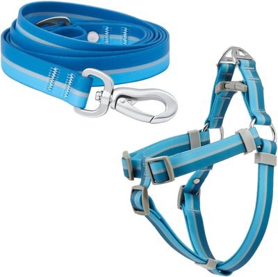 Frisco Outdoor Two Toned Waterproof Stink Proof PVC Leash, River Blue, Large - Length: 6-ft, Width: 1-in + Dog Harness, River Blue, Large, Neck: 19 to 27-in, Girth: 23 to 36-in, slide 1 of 1