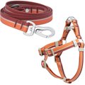 Frisco Outdoor Two Toned Waterproof Stink Proof PVC Leash, Sunset Orange, Medium - Length: 6-ft, Width: 3/4-in + Dog Harness, Flamepoint Orange, Medium, Neck: 16 to 22-in, Girth: 19 to 29-in