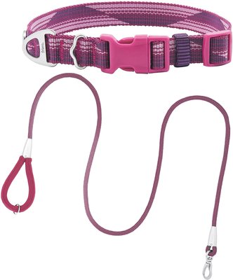 Frisco Outdoor Woven Jacquard Nylon Dog Collar, Boysenberry Purple, Large, Neck: 18 -26-in, Width: 1-in + Ultra Reflective Rope Leash With Padded Handle, Boysenberry Purple, 6 - ft, slide 1 of 1
