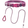 Frisco Outdoor Woven Jacquard Nylon Dog Collar, Boysenberry Purple, Large, Neck: 18 -26-in, Width: 1-in + Ultra Reflective Rope Leash With Padded Handle, Boysenberry Purple, 6 - ft