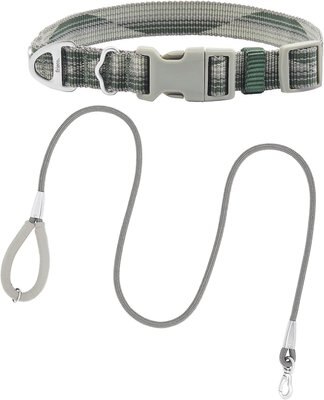 Frisco Outdoor Woven Jacquard Nylon Dog Collar, Forest Green, Large, Neck: 18 -26-in, Width: 1-in + Ultra Reflective Rope Leash With Padded Handle, Stone Gray, 6 - ft, slide 1 of 1