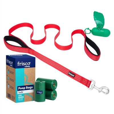 Frisco Traffic Leash with Padded Handles & Poop Bag Dispenser, Red, Length: 6ft, Width: 1-in + Refill Dog Poop Bags, Scented, 120 count, slide 1 of 1