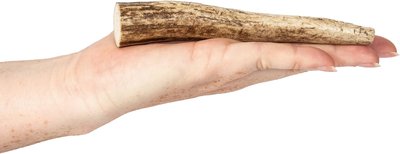 K9warehouse Elk Antlers Small Whole Dog Chew Treat, slide 1 of 1