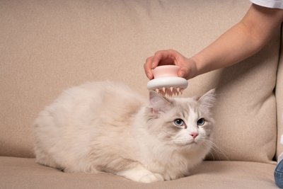Pet Life Scwubba Bathing Brushing & Massaging Soft Flexible Grooming Dog & Cat Comb, slide 1 of 1