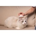 Pet Life Scwubba Bathing Brushing & Massaging Soft Flexible Grooming Dog & Cat Comb, Blue