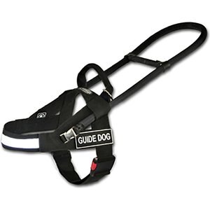 DEAN & TYLER DT Guide Light Dog Harness, Black, Small - Chewy.com