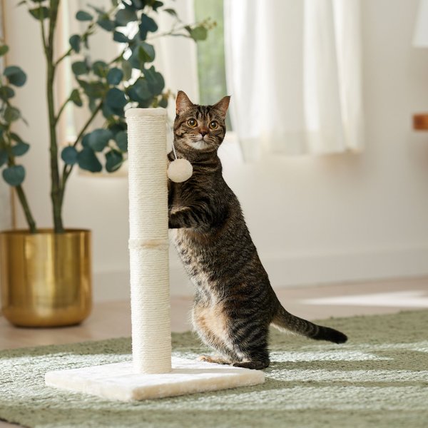 Frisco 21-in Sisal Cat Scratching Post with Toy, 2 count, Cream slide 1 of 4