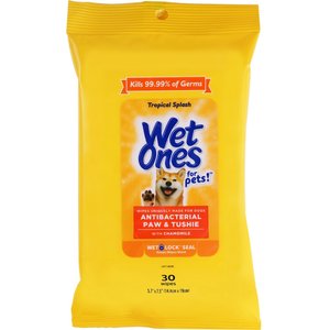 Wet Ones Anti Bacterial Paw & Tushie Tropical Splash Scent Dog Wipes, 60 count
