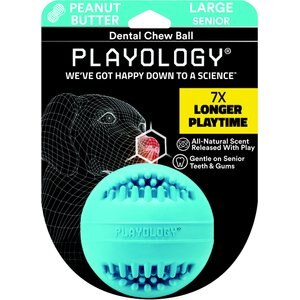 Playology All Natural Peanut Butter Scented Dental Chew Ball Dog Toy, Large