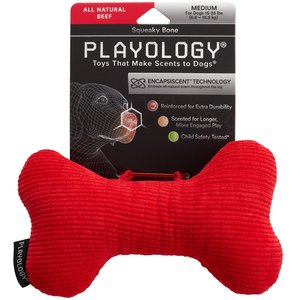 Playology All Natural Beef Scented Plush Squeaky Bone Dog Toy, Medium