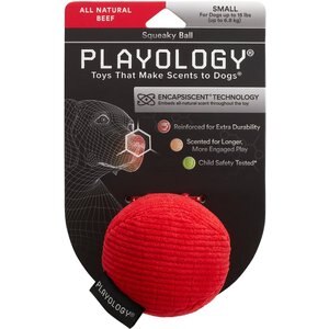 Playology All Natural Beef Scented Plush Squeaky Ball Dog Toy, Small