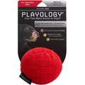 Playology All Natural Beef Scented Plush Squeaky Ball Dog Toy, Medium