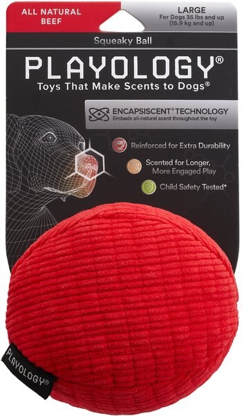 Playology All Natural Beef Scented Plush Squeaky Ball Dog Toy, Large slide 1 of 3