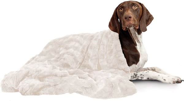 Best Friends by Sheri Calming Lux Fur Cat & Dog Blanket, Oyster slide 1 of 3