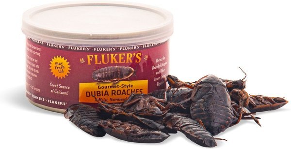 Fluker's Gourmet-Style Canned Dubia Roaches Reptile Food, 1.2-oz bag slide 1 of 3