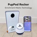PupPod Rocker & Dog Automatic Feeder