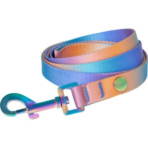 Frisco Purple Ombre Style Dog Leash, Small - Length: 6-ft, Width: 5/8-in