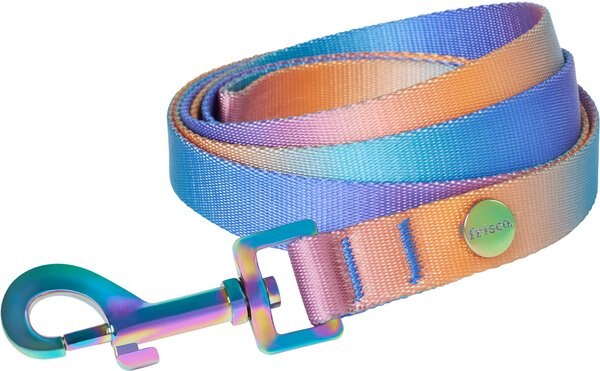 Frisco Purple Ombre Style Dog Leash, Large - Length: 6-ft, Width: 1-in slide 1 of 5