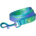 Frisco Green Ombre Style Dog Leash, Small - Length: 6-ft, Width: 5/8-in