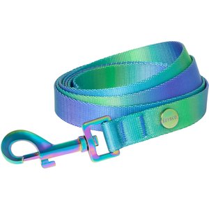 Frisco Green Ombre Style Dog Leash, Medium - Length: 6-ft, Width: 3/4-in