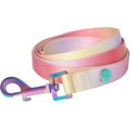 Frisco Pink Ombre Style Dog Leash, Small - Length: 6-ft, Width: 5/8-in