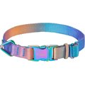 Frisco Purple Ombre Style Dog Collar, Small - Neck: 10 - 14-in, Width: 5/8-in