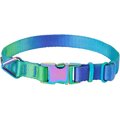 Frisco Green Ombre Style Dog Collar, X-Small - Neck: 8 - 12-in, Width: 5/8-in
