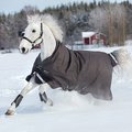 Amigo Bravo 12 Wug Med Horse Blanket, 72