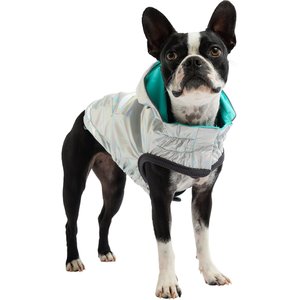 GF Pet Neon Reversible Dog Raincoat, Neon Aqua, X-Small