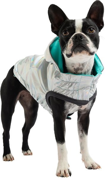 GF Pet Neon Reversible Dog Raincoat, Neon Aqua, Medium slide 1 of 9