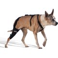WALKABOUT Dog & Cat Knee Brace, Black, Small Left