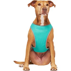 Canada Pooch Wet Reveal Smiley Cooling Dog Vest, 18