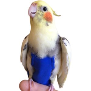 Avian Fashions FeatherWear FlightSuit Bird Diaper, Blue, Jr Small(3)