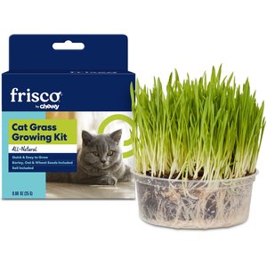 Frisco Natural Cat Grass Growing Kit