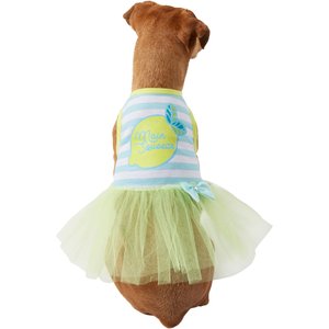 Wagatude Main Squeeze Dog Dress, Small