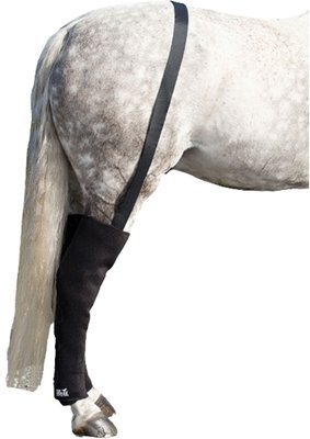 Ice Horse Full Hind Horse Leg Wraps, 2 count, slide 1 of 1