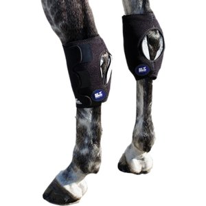 Ice Horse Hock Horse Wrap, 1 count