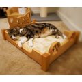 TT Build Cat Bed