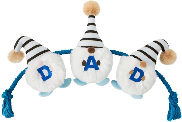 Frisco Dad Gnome Plush with Rope Dog Toy slide 1 of 3