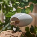 Stroodies BubbleLoft Gecko Hideout, Marble, Regular/Adult