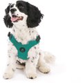 Gooby Escape Free Sport Step-In Small Dog Harness, Large, Turquoise