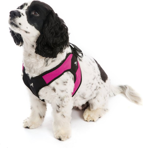 Gooby Escape Free Easy Fit Small Dog Harness, Hot Pink, Large slide 1 of 7