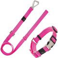 Pet Life Advent Outdoor Series 3M Reflective 2-in-1 Durable Martingale Training Dog Leash & Collar, Pink, Small