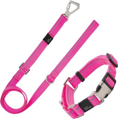 Pet Life Advent Outdoor Series 3M Reflective 2-in-1 Durable Martingale Training Dog Leash & Collar, slide 1 of 1