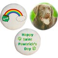 SPOTS NYC Personalized Photo St. Patricks Day Dog Treats, 3 count