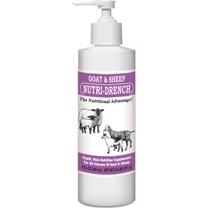Bovidr Laboratories Nutri-Drench Goat & Sheep Supplement, 8-oz bottle