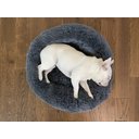 Alpha Paw Cozy Calming Pillow Dog Bed, Grey, Medium